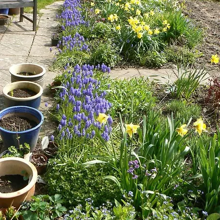 Aakirkeby לינה וארוחת בוקר *