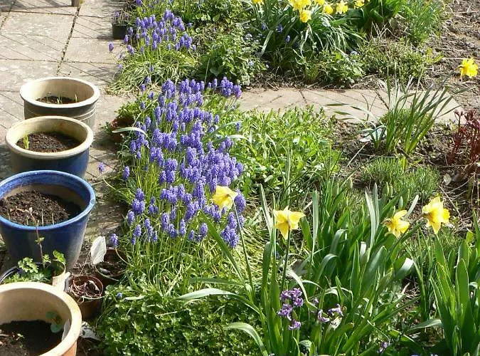 Aakirkeby Bed and Breakfast *